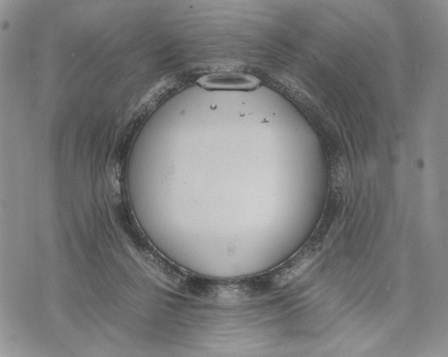 X0000070830264200607071749