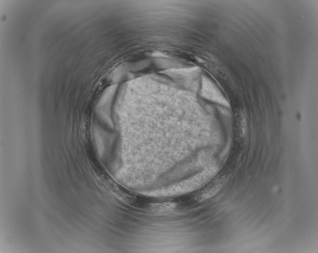 X0000070830266200607071749