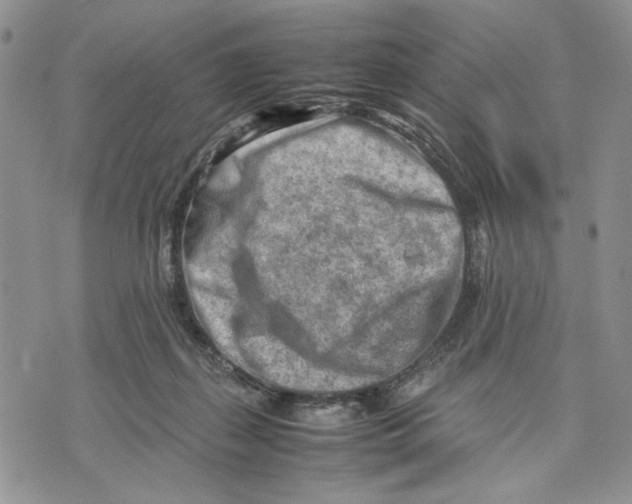 X0000070830267200607071749