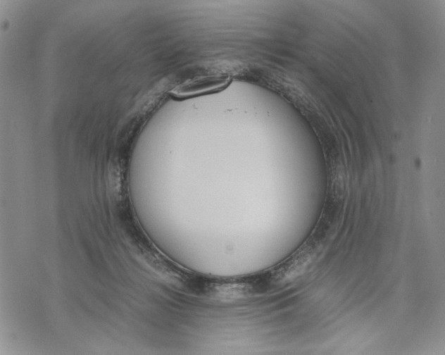 X0000070830268200607071749