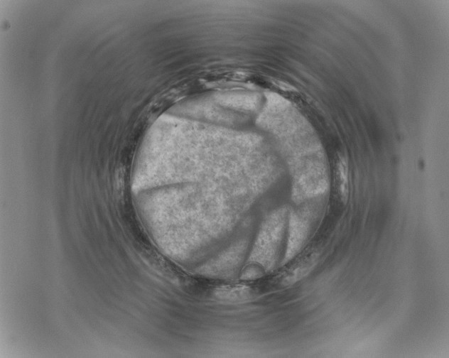 X0000070830271200607071749