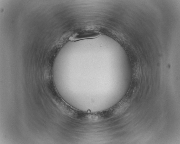 X0000070830272200607071749