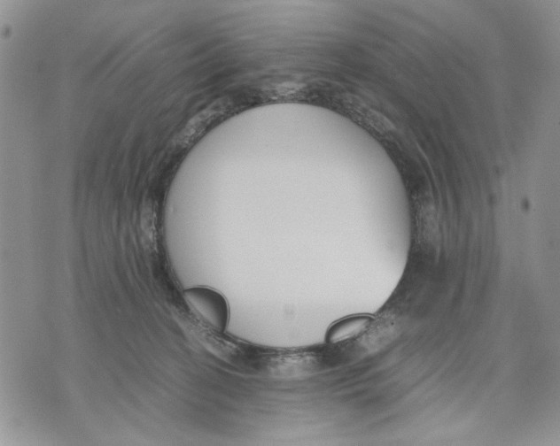 X0000070830274200607071749