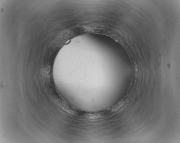 X0000070830275200607071749