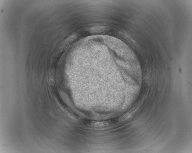 X0000070830277200607071749