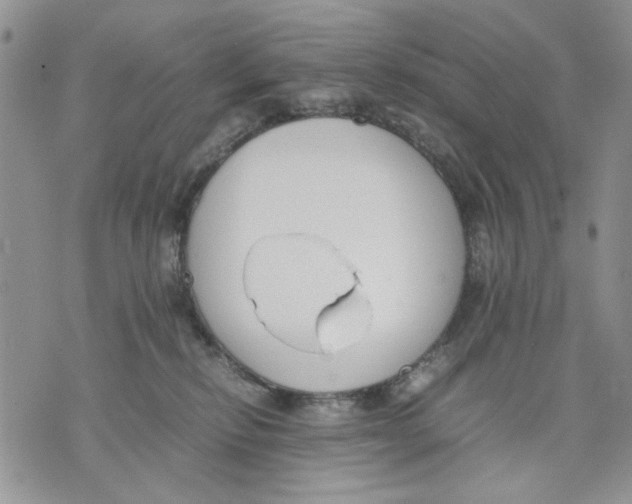 X0000070830278200607071749