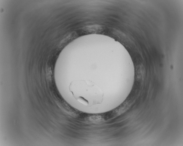 X0000070830279200607071749