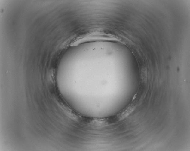 X0000070830280200607071749