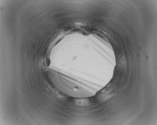 X0000070830281200607071749