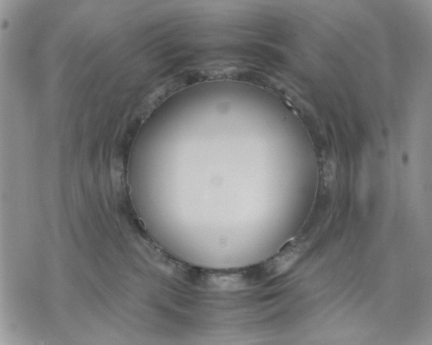 X0000070830283200607071749