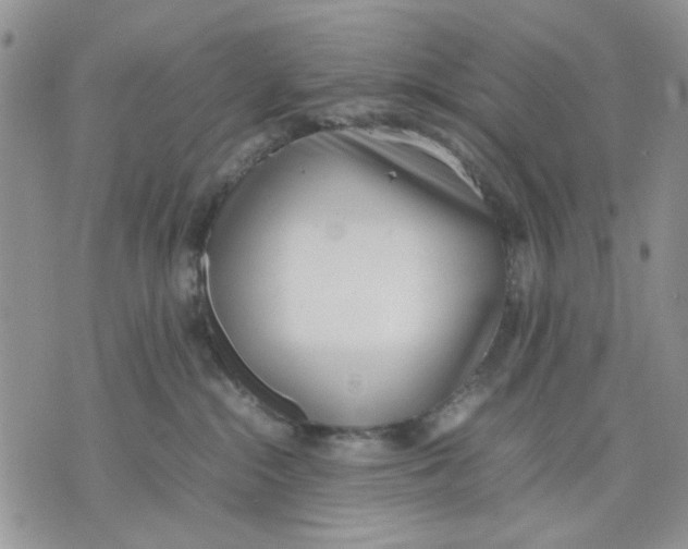 X0000070830284200607071749