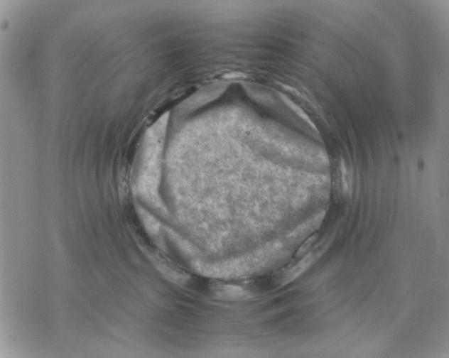 X0000070830285200607071749