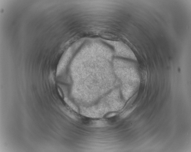 X0000070830286200607071749