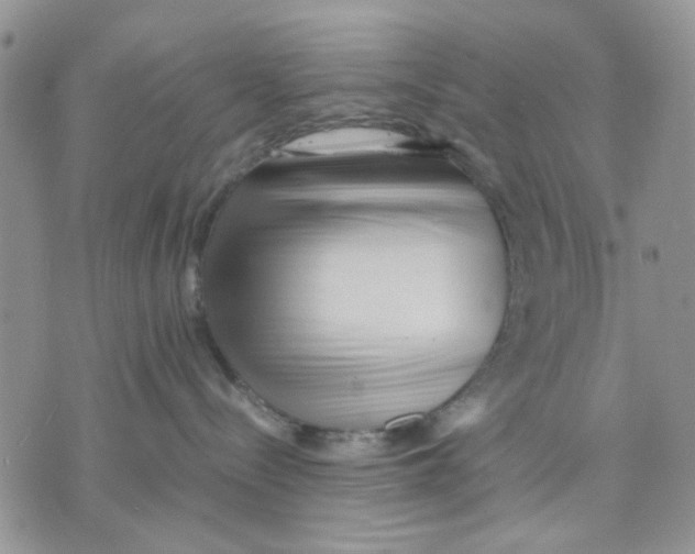 X0000070830288200607071749