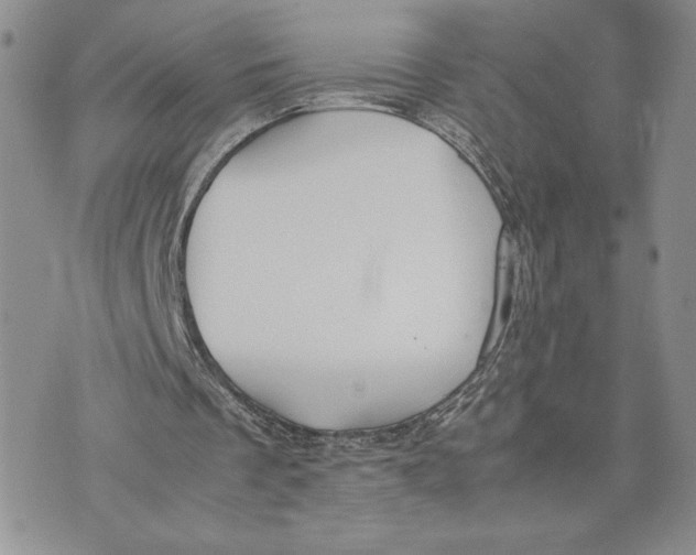 X0000070830289200607071748