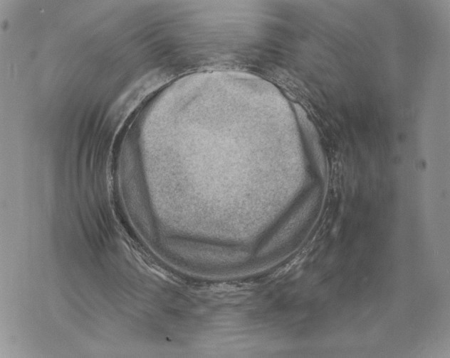 X0000070830290200607071748