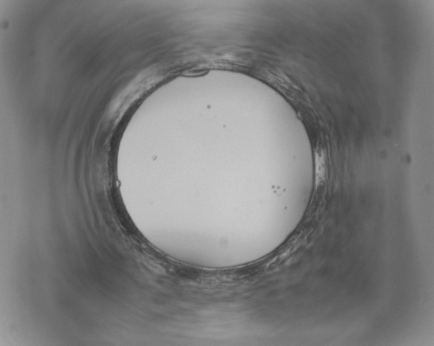 X0000070830291200607071748