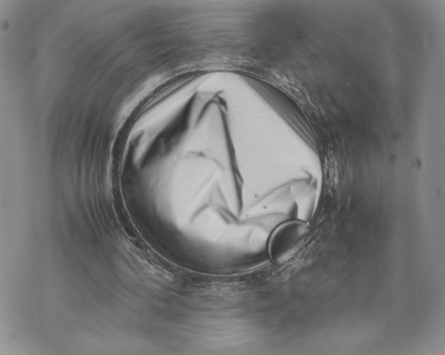 X0000070830292200607071748