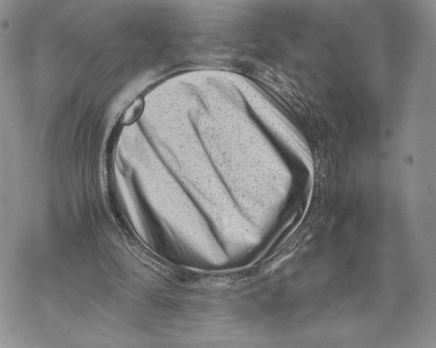 X0000070830294200607071748