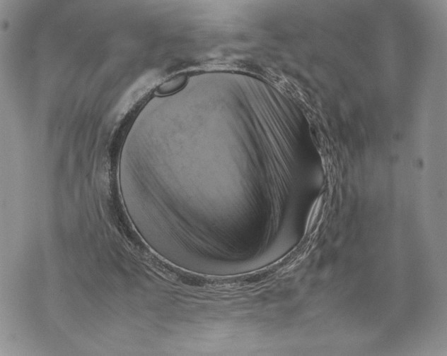 X0000070830295200607071748