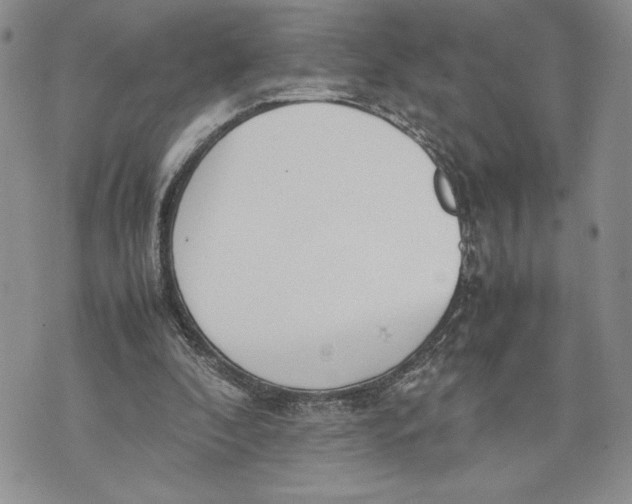 X0000070830296200607071748