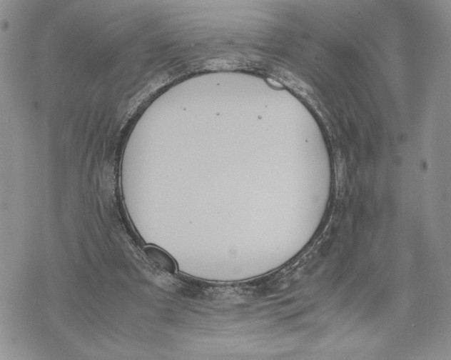 X0000070830297200607071748