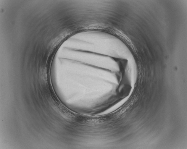 X0000070830298200607071748