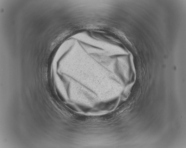 X0000070830299200607071748