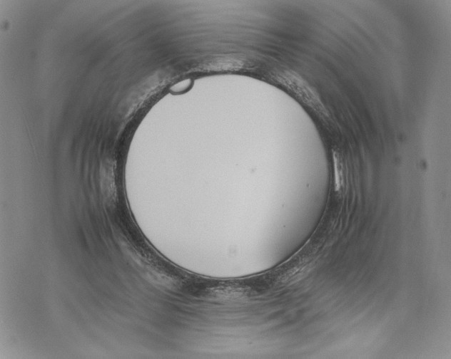 X0000070830300200607071748