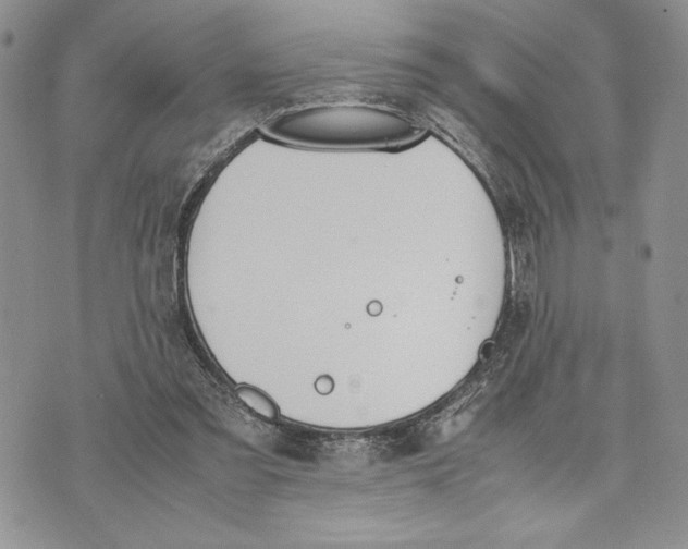 X0000070830301200607071748