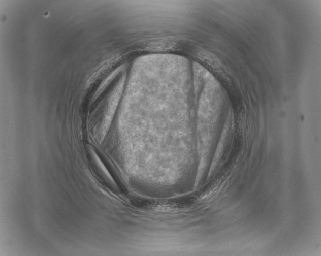 X0000070830303200607071748