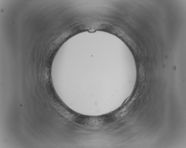 X0000070830305200607071748