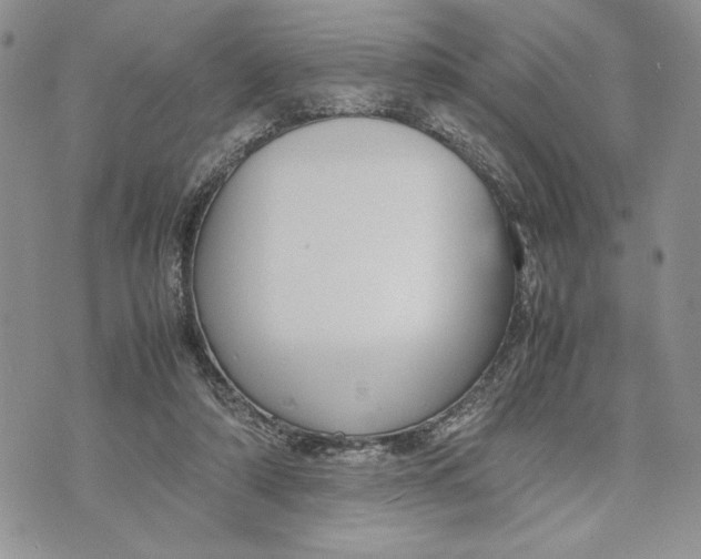 X0000070830306200607071748