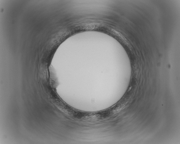 X0000070830307200607071748