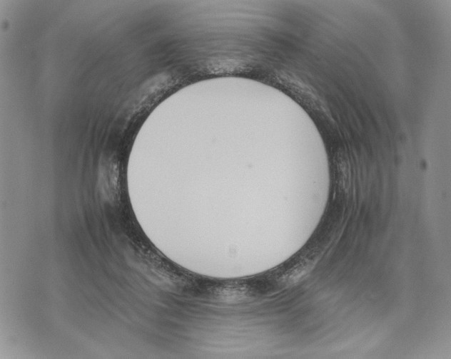 X0000070830308200607071748