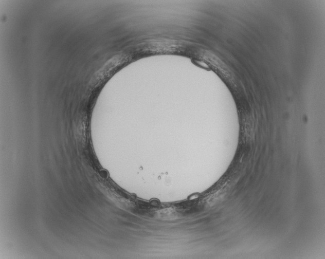 X0000070830309200607071748