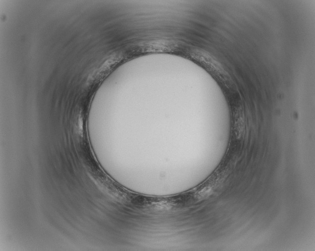 X0000070830310200607071748