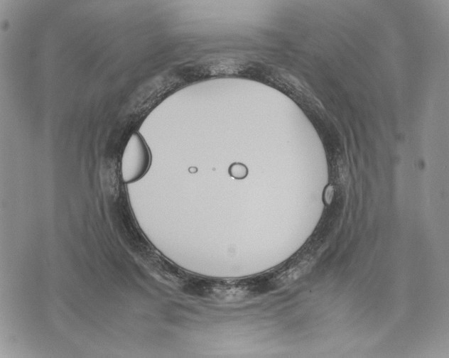 X0000070830311200607071748