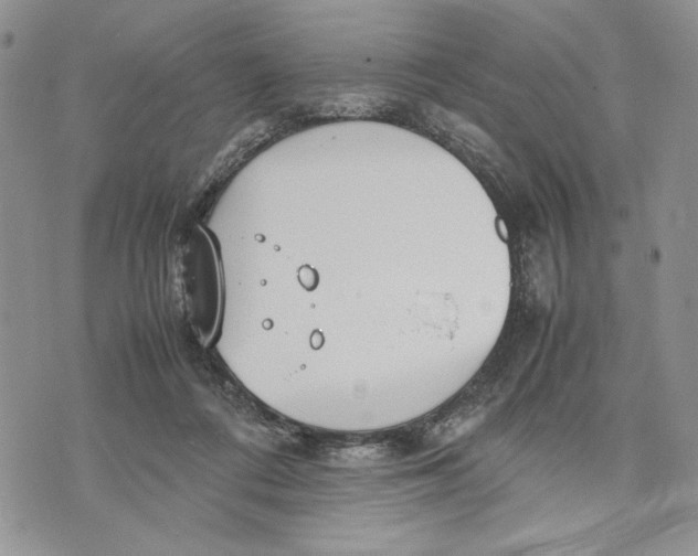 X0000070830312200607071748