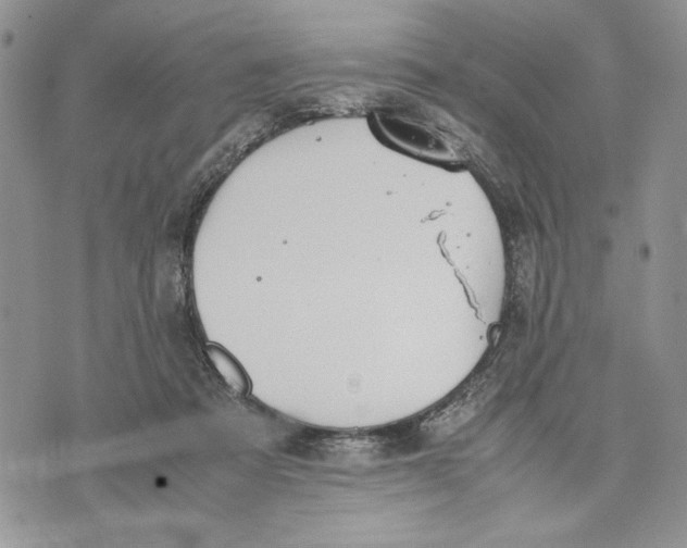 X0000070830313200607071748