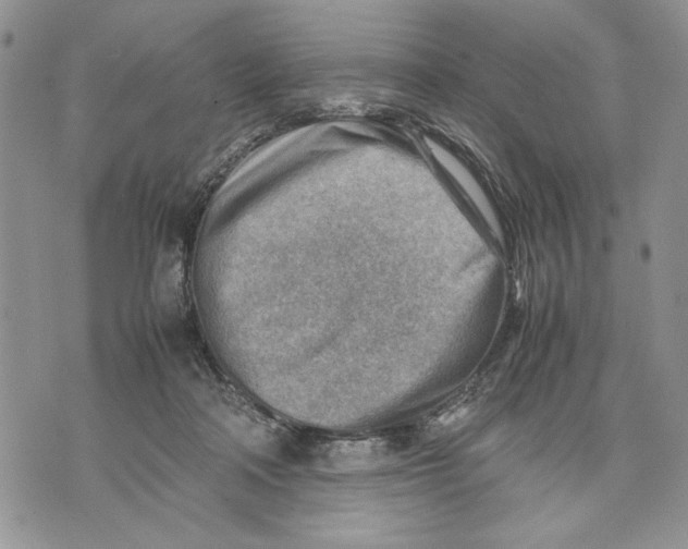 X0000070830314200607071748