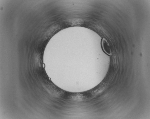 X0000070830316200607071748