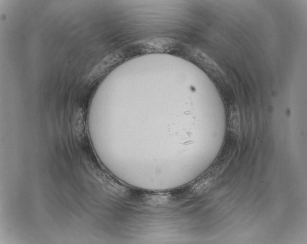 X0000070830318200607071748