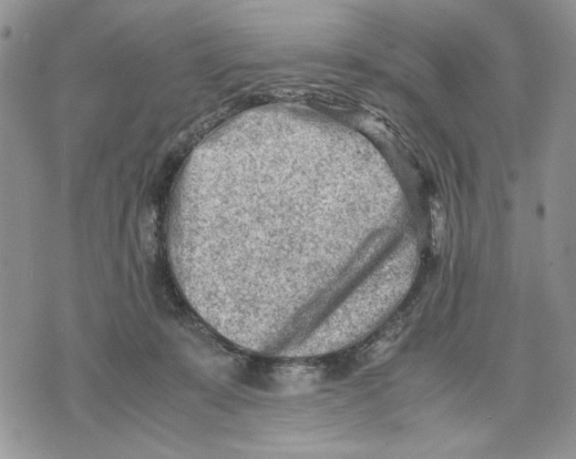 X0000070830319200607071748