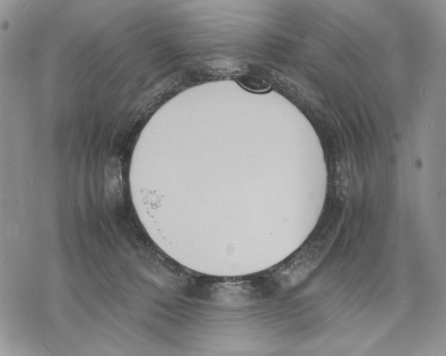 X0000070830320200607071748