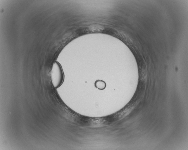 X0000070830321200607071748