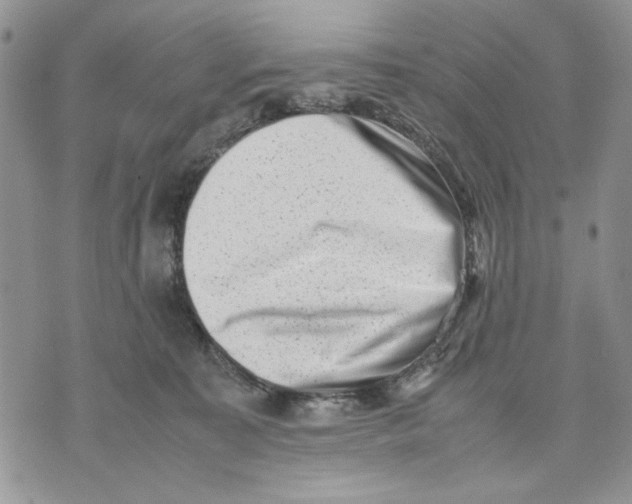 X0000070830323200607071748