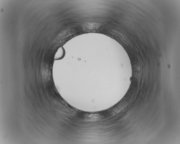 X0000070830324200607071748