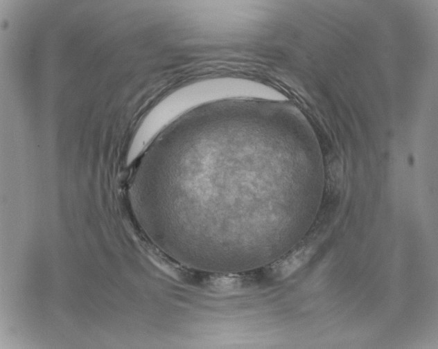 X0000070830325200607071748