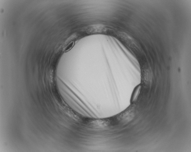 X0000070830326200607071748